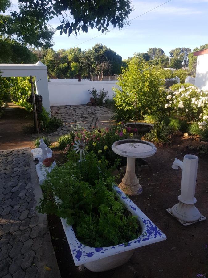 Karoo Manor Guesthouse And Restaurant Richmond  Eksteriør billede